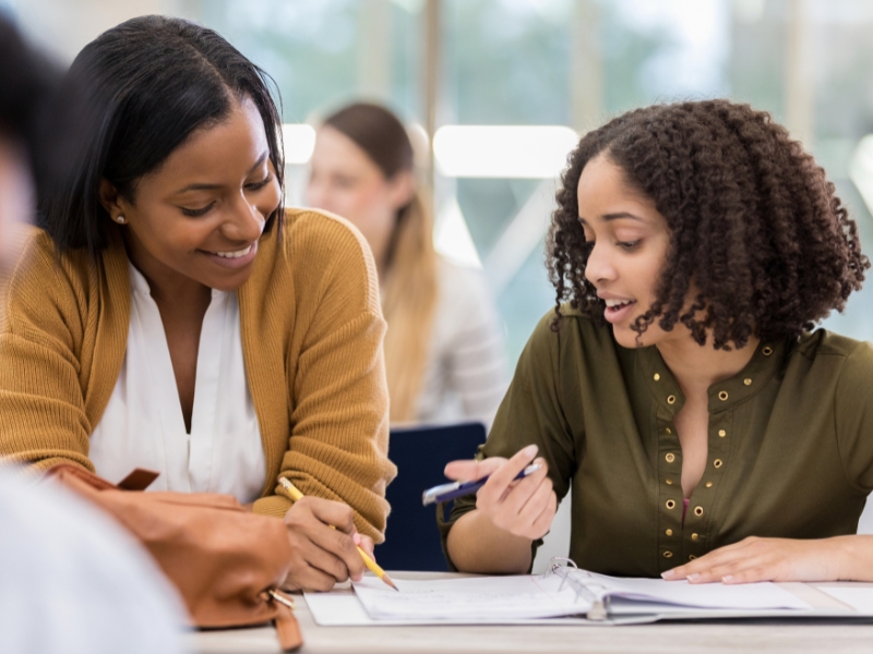 Student and mentor studying together