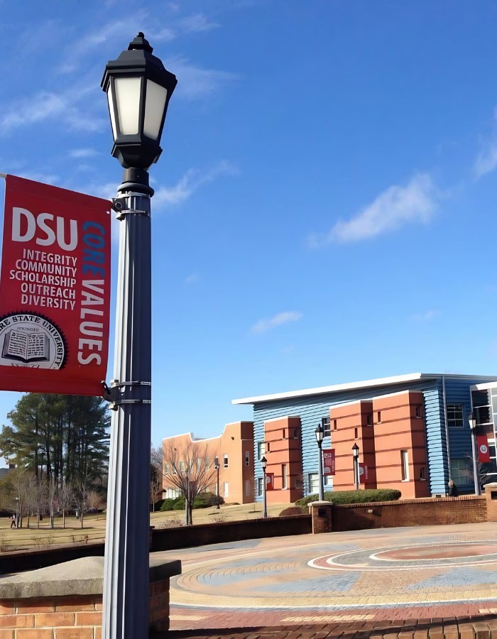 Delaware State University core values flag hanging on light pole